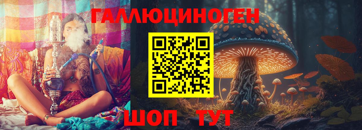 Псилоцибиновые грибы Psilocybine cubensis  Вход с VPN  Иваново 